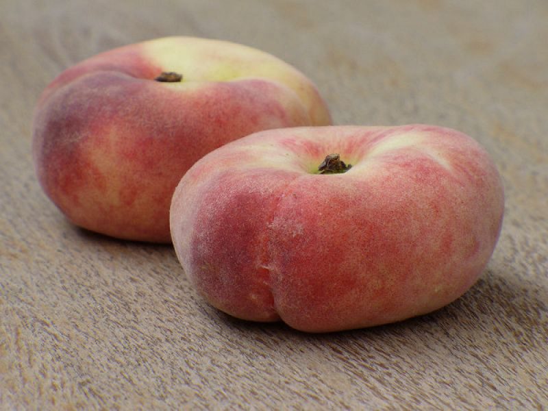 Персик инжирный Сатурн: купить саженцы и крупномеры из питомника ПлодовыйСад